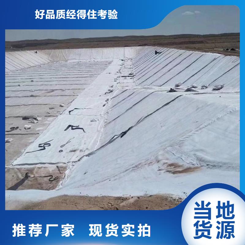 膨润土防水毯【钢塑土工格栅】厂家直营