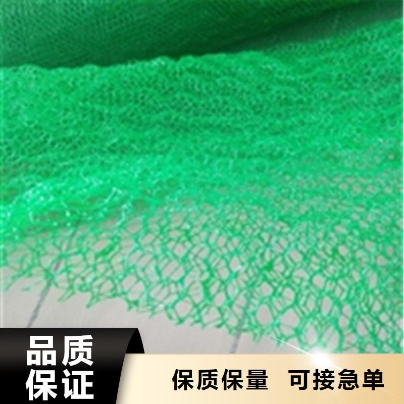 【三维植被网】防渗膜定制批发