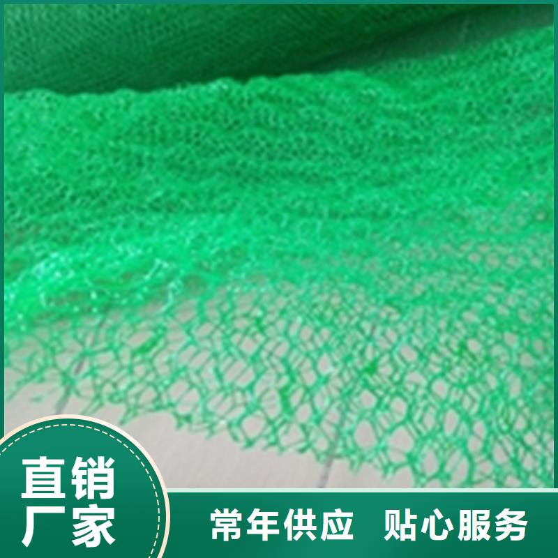 三维植被网【土工布】货源直供