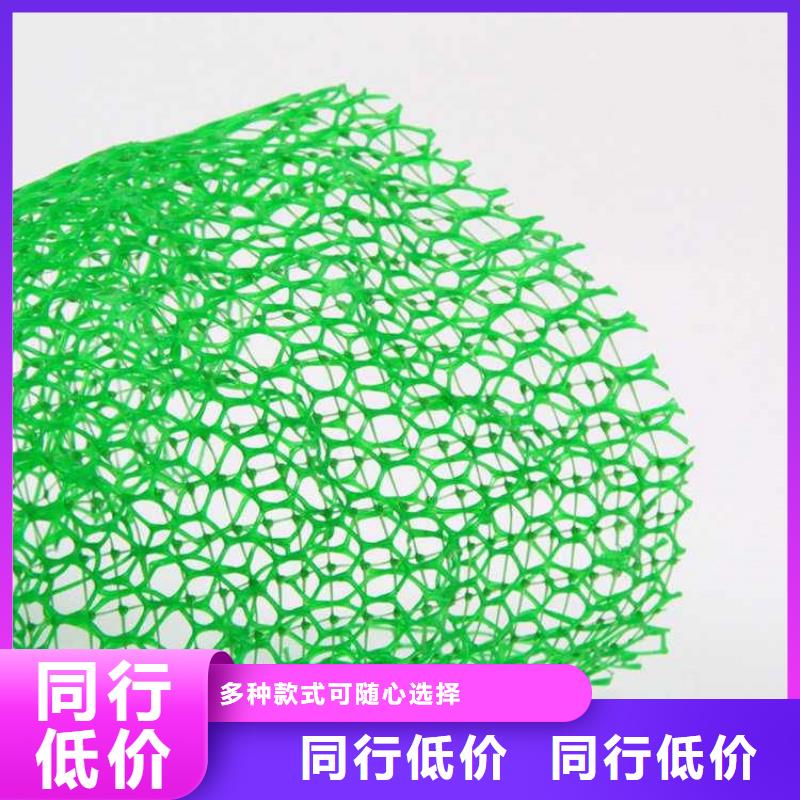 三维植被网土工格室欢迎来厂考察