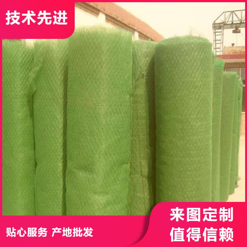 三维植被网,土工膜认准大品牌厂家