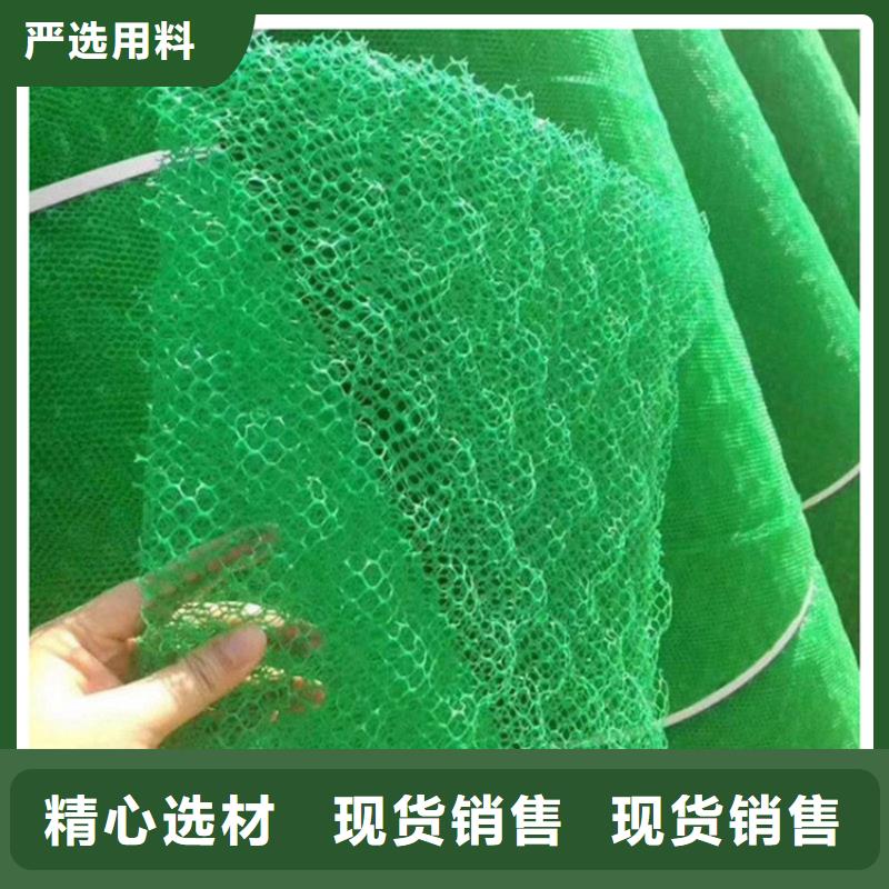 三维植被网【防渗膜】质量为本