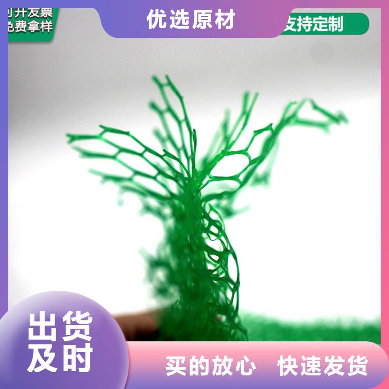 三维植被网规格齐全