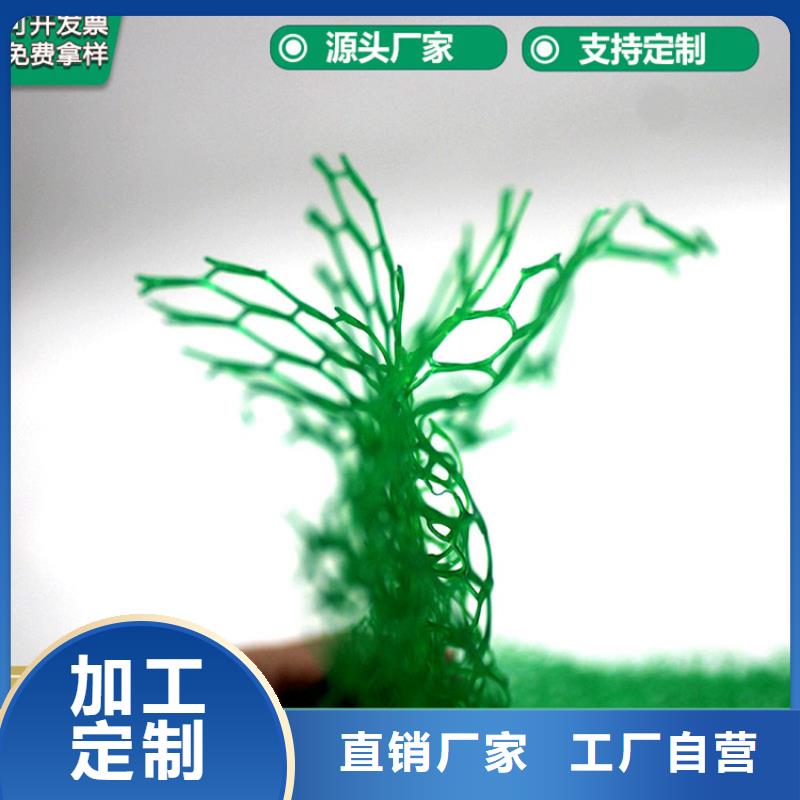 三维植被网土工格栅货品齐全