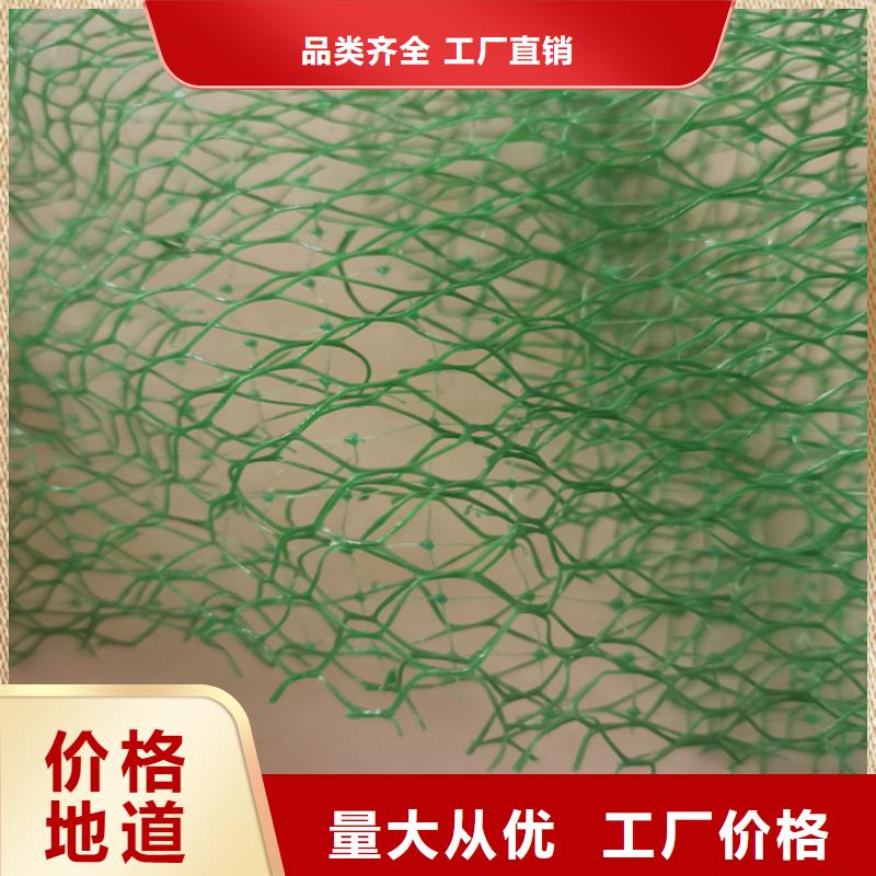 三维植被网土工膜一站式厂家