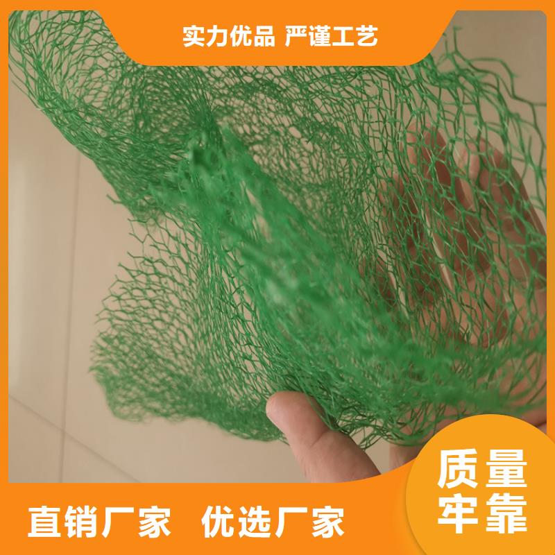 三维植被网防渗膜货源足质量好