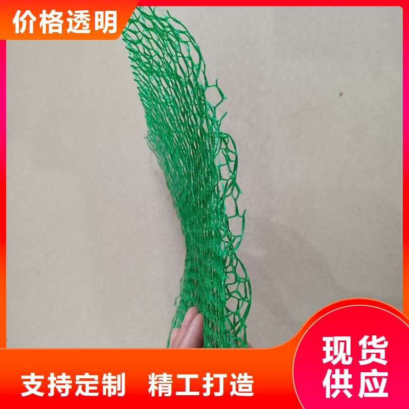 三维植被网土工布优势
