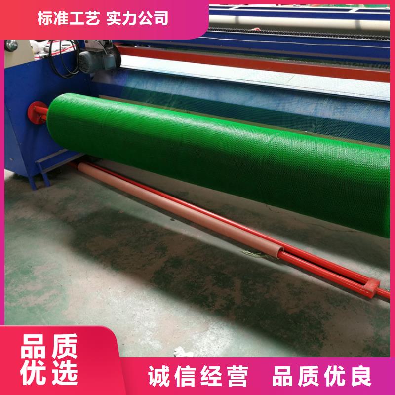 三维植被网_HDPE土工膜优质货源