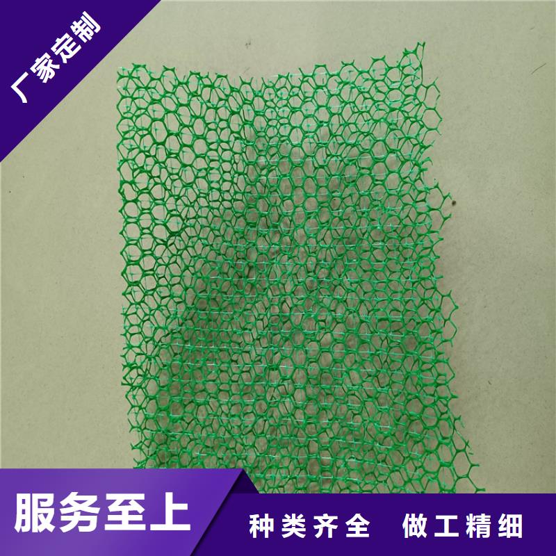 三维植被网【土工膜】实体厂家