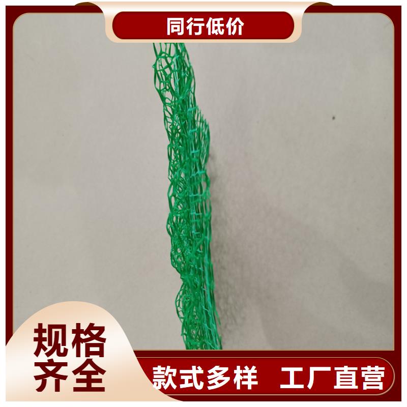 三维植被网【土工格室】匠心制造