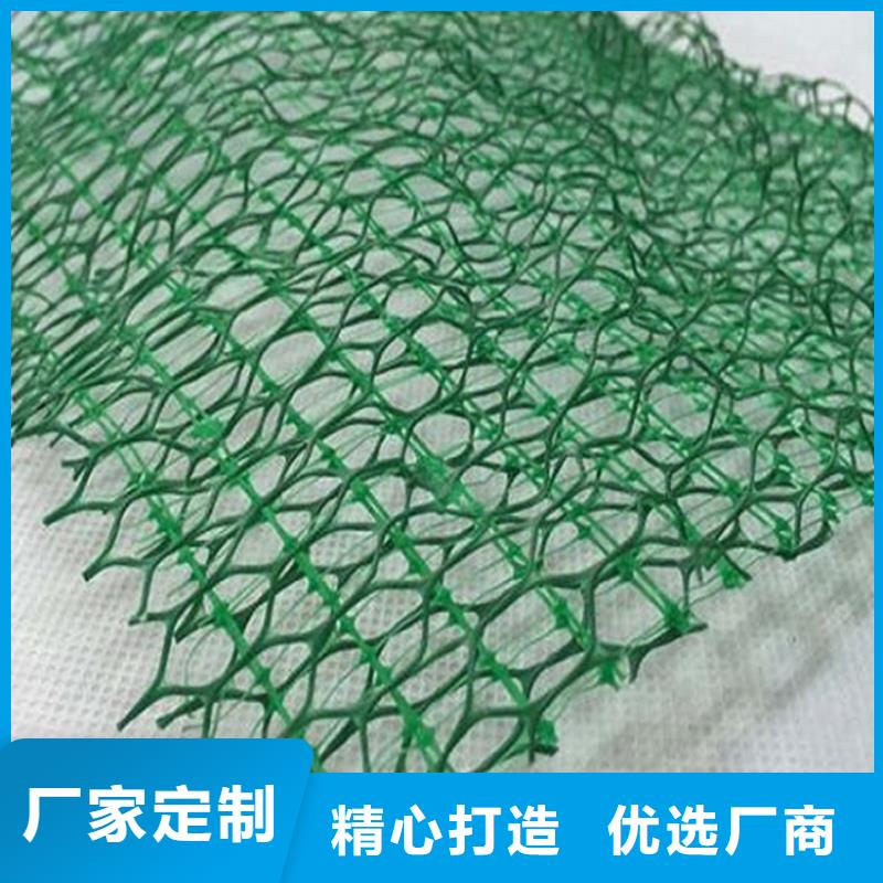 三维植被网复合土工膜多家仓库发货