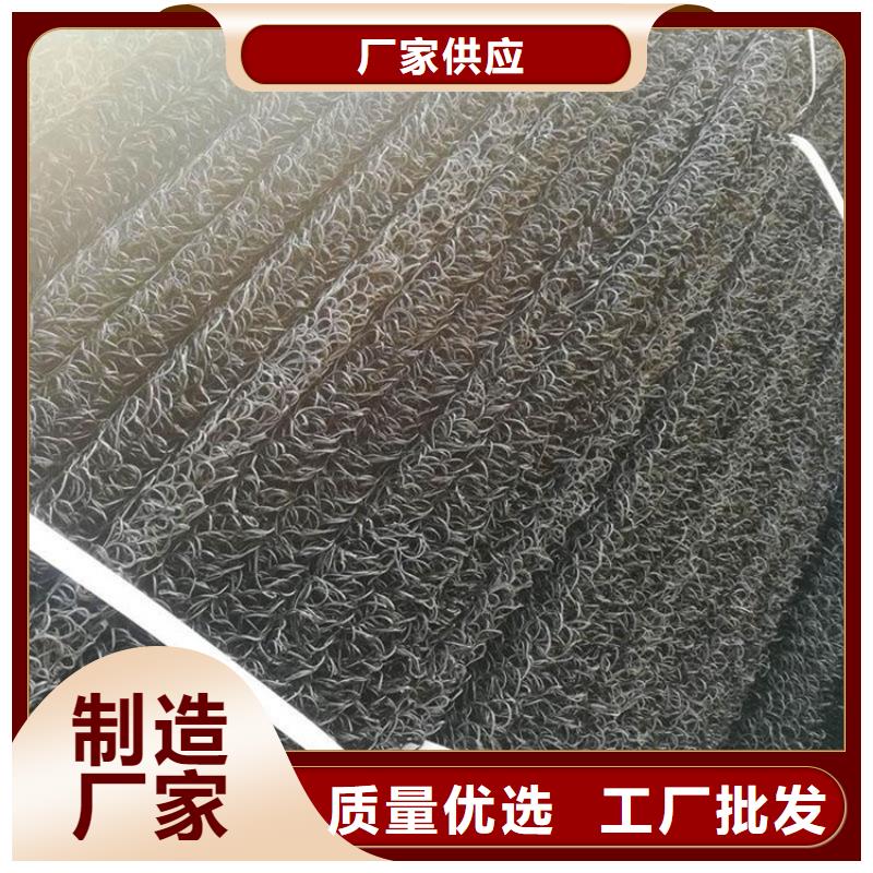 【土工席垫】HDPE土工膜厂家实力雄厚