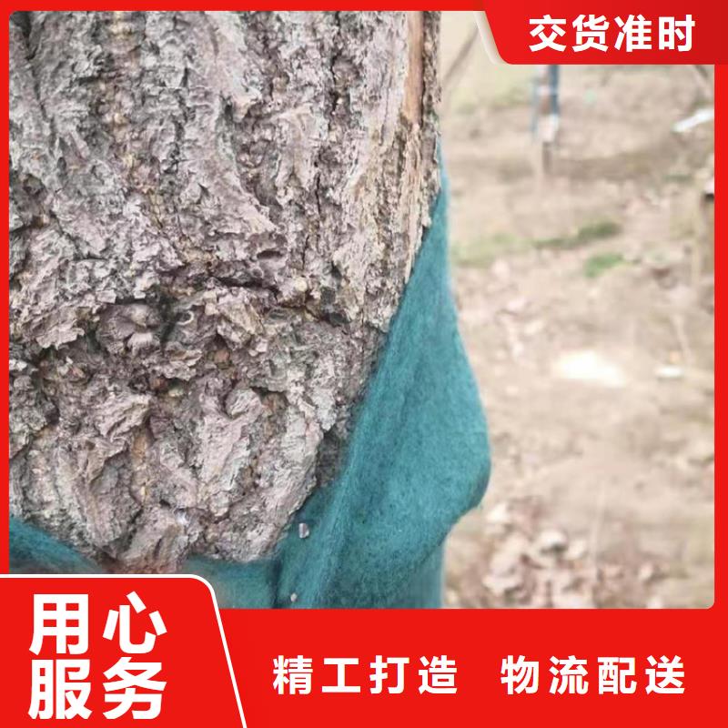 裹树布三维植被网经验丰富质量放心