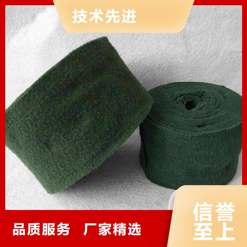 裹树布土工网大品牌值得信赖