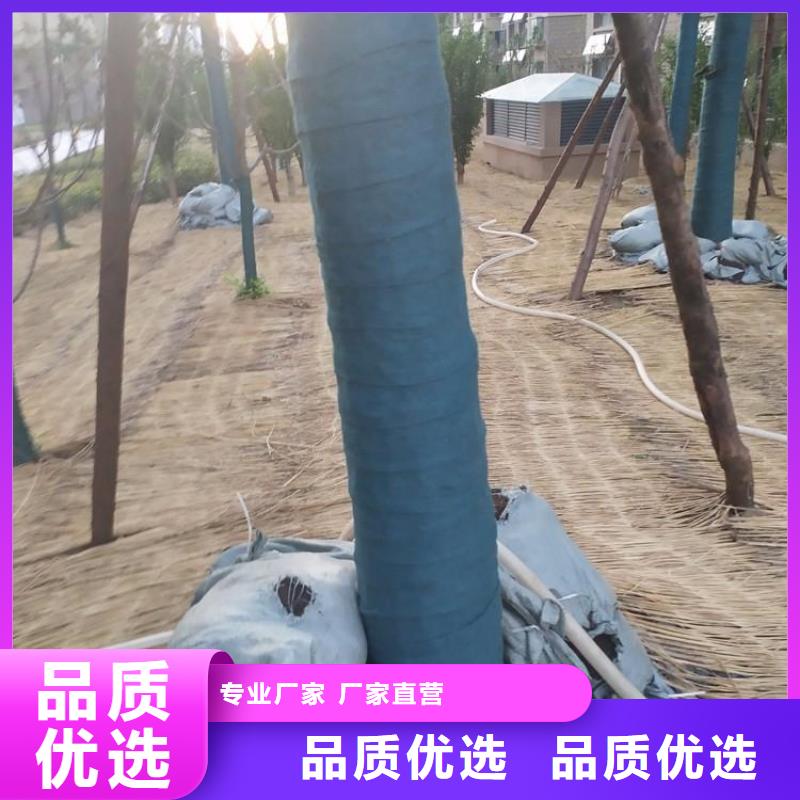 裹树布,塑料盲沟专注品质