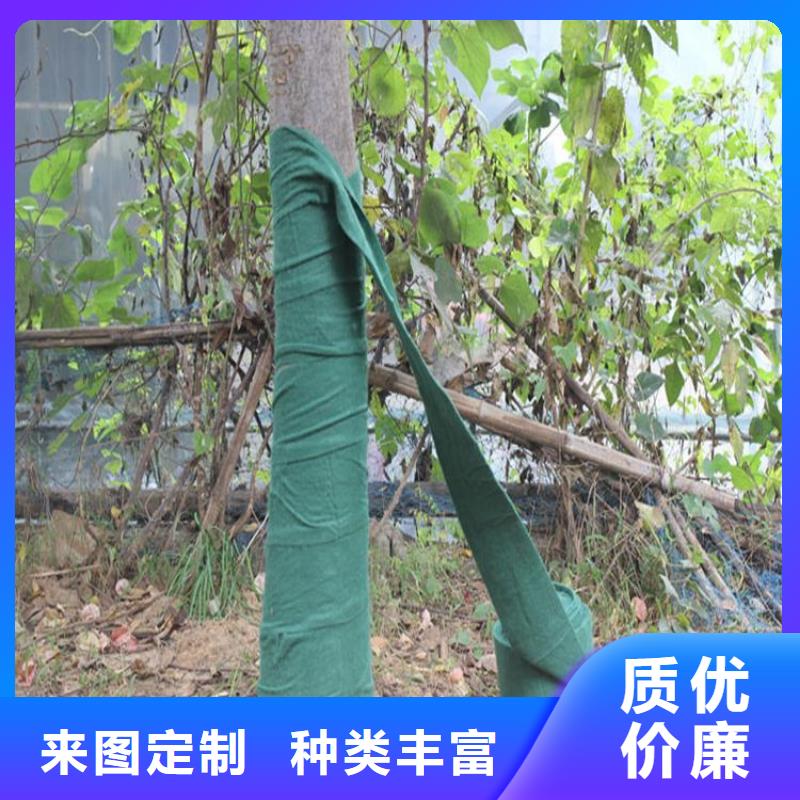 裹树布,塑料盲沟专注品质