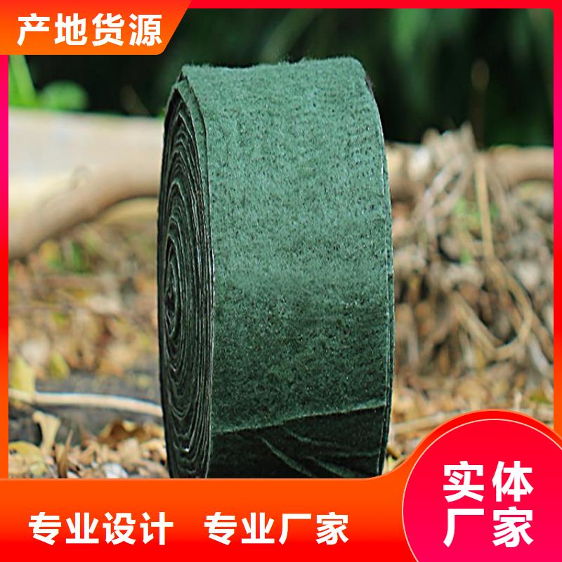 裹树布土工网大品牌值得信赖