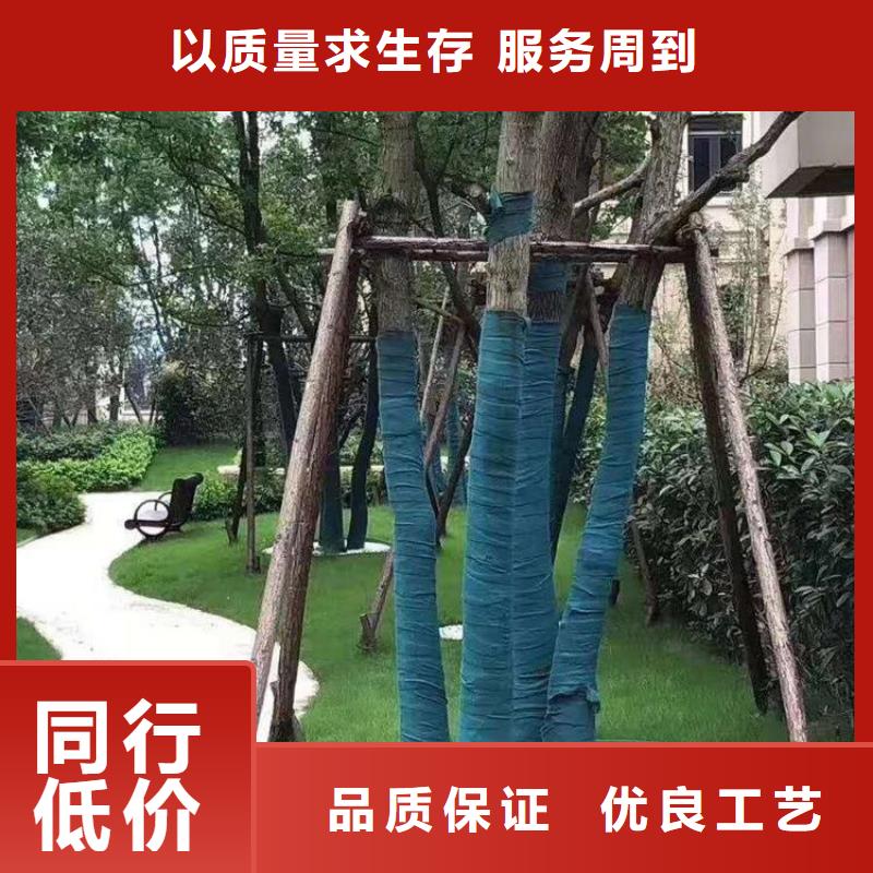 裹树布HDPE复合排水板细节决定品质