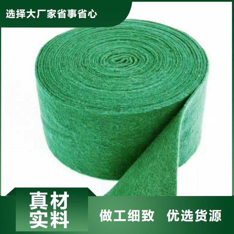 裹树布_【土工格室】全品类现货