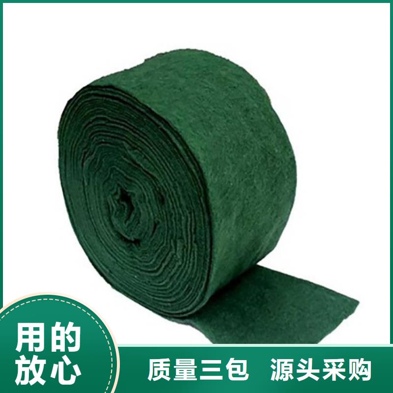裹树布土工网大品牌值得信赖