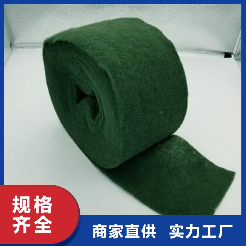 裹树布【植草格】细节决定成败