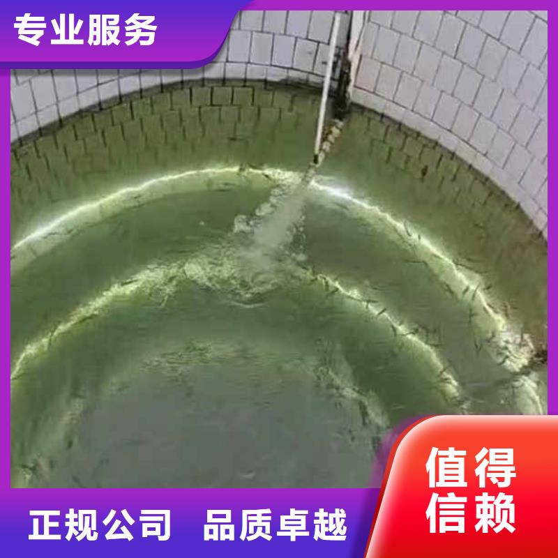 水下施工水鬼服务实时价格