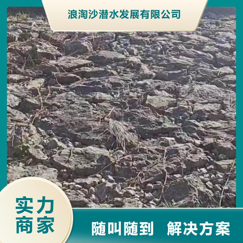 水鬼水中服务现货报价浪淘沙水工