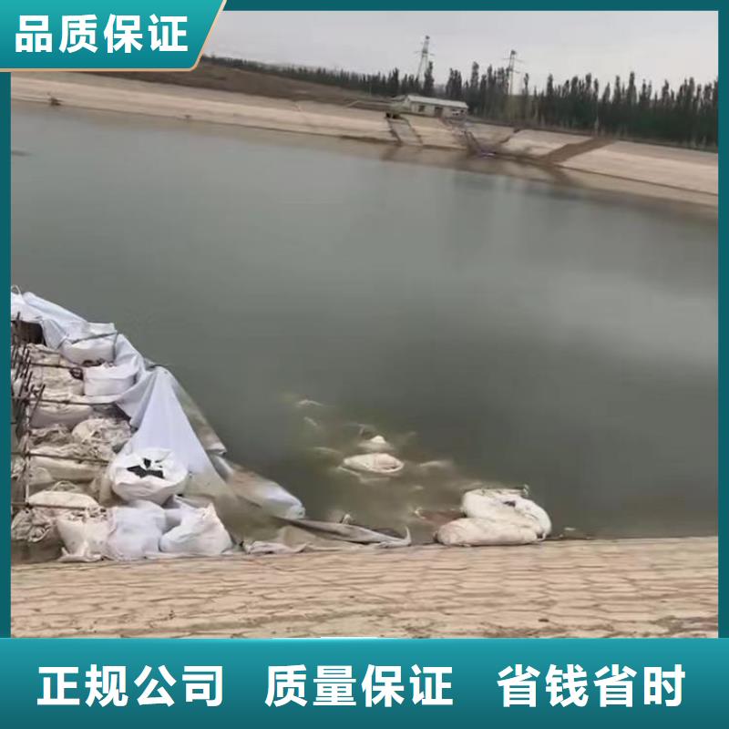 潜水员蛙人水中服务厂家供应浪淘沙水工