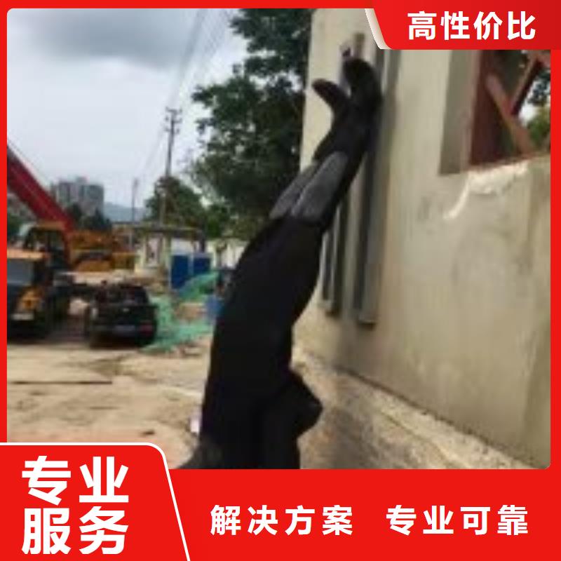 水下工程本地潜水搜索团队价格美丽