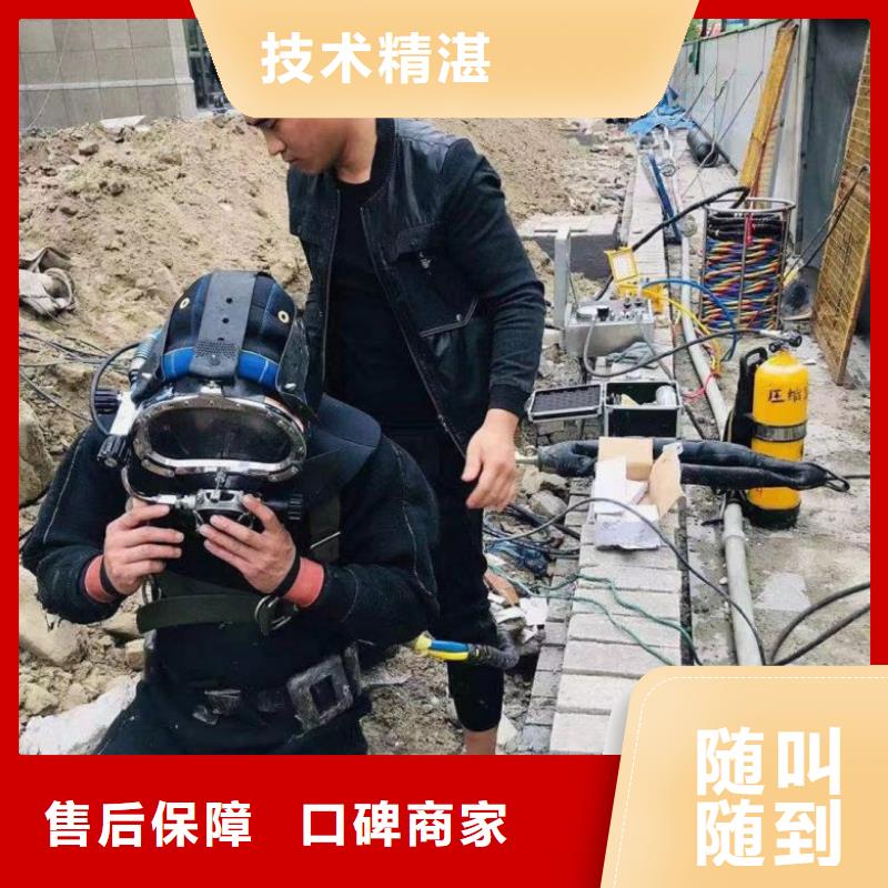 水下维修蛙人施工多家服务案例