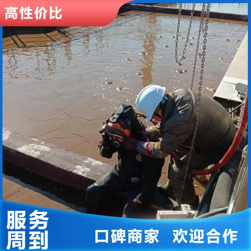 水上浮吊船水下安装欢迎询价