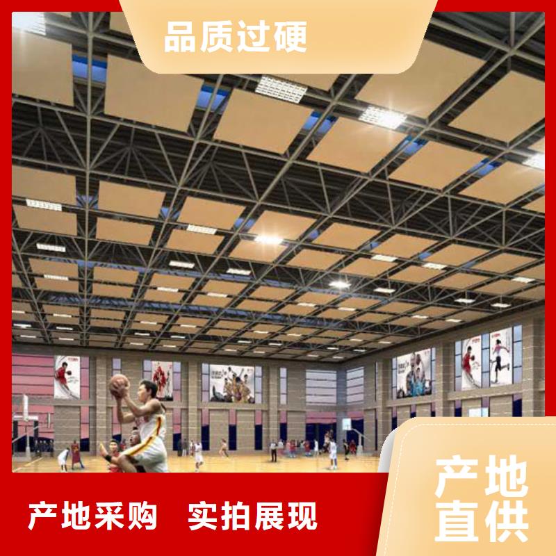 安徽省周边《凯音》篮球馆体育馆声学改造公司--2024最近方案/价格