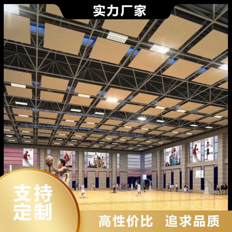 广东省广州市优选凯音公司体育馆吸音改造方案--2024最近方案/价格