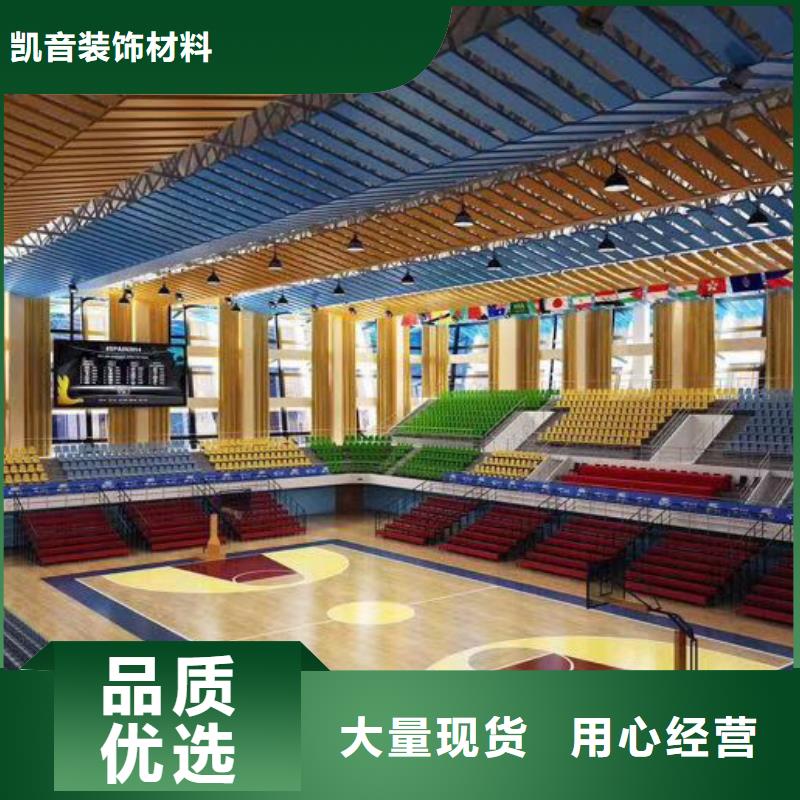 【凯音】广东省汕头市溪南镇公司体育馆吸音改造方案--2024最近方案/价格