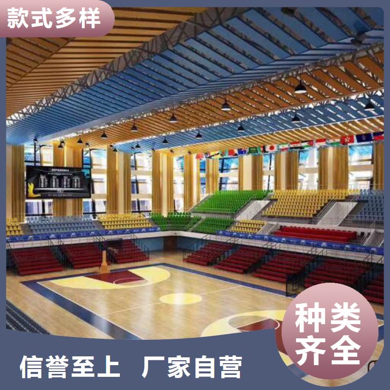 广东省深圳市清水河街道大型体育馆声学改造价格--2024最近方案/价格