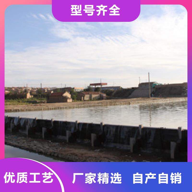 定安县钢坝翻板闸门市场价格