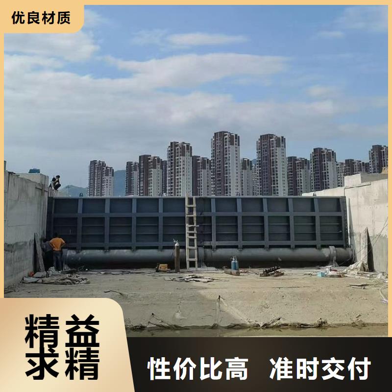 翻板闸门哪有卖