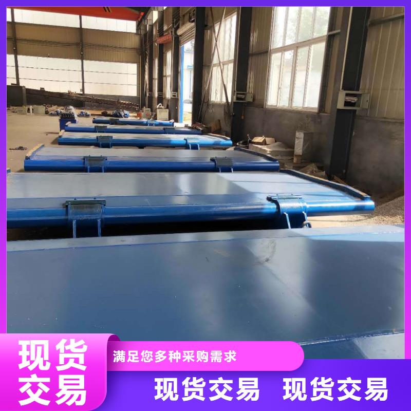 钢坝闸门大品牌值得信赖