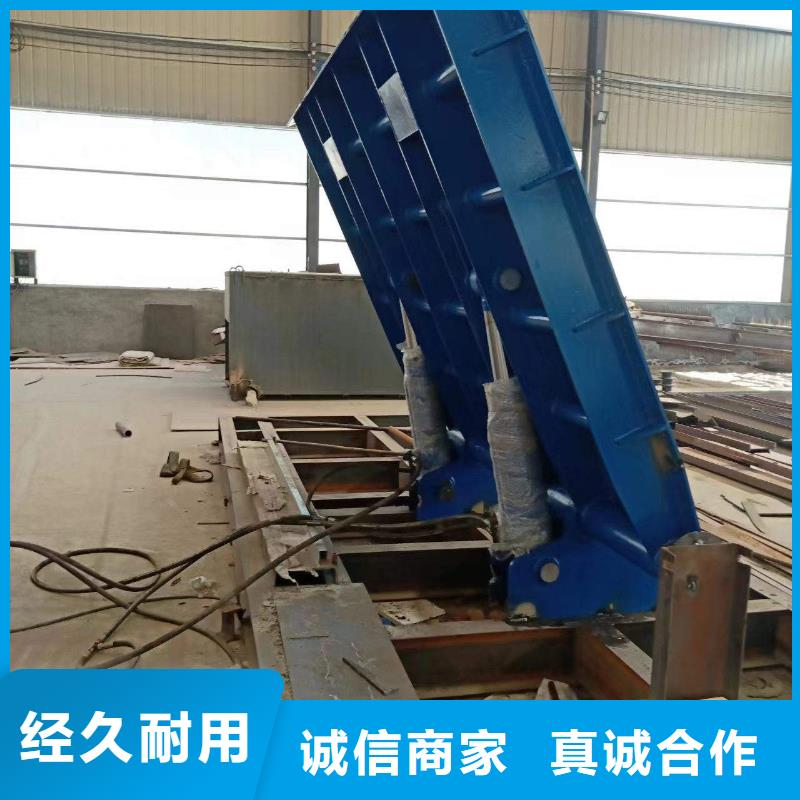 液压钢坝行业经验可信赖