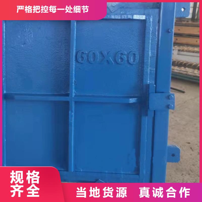 矩形铸铁闸门行业经验可信赖