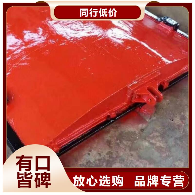 镶铜铸铁闸门哪家好