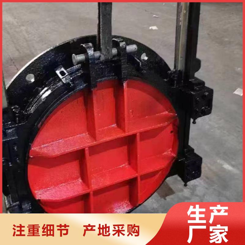 矩形铸铁闸门行业经验可信赖