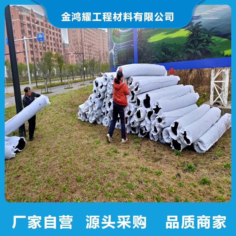 100mm土工席垫欢迎咨询价格