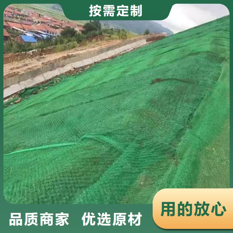 《自贡》批发金鸿耀品牌的三维土工网植草护坡生产厂家