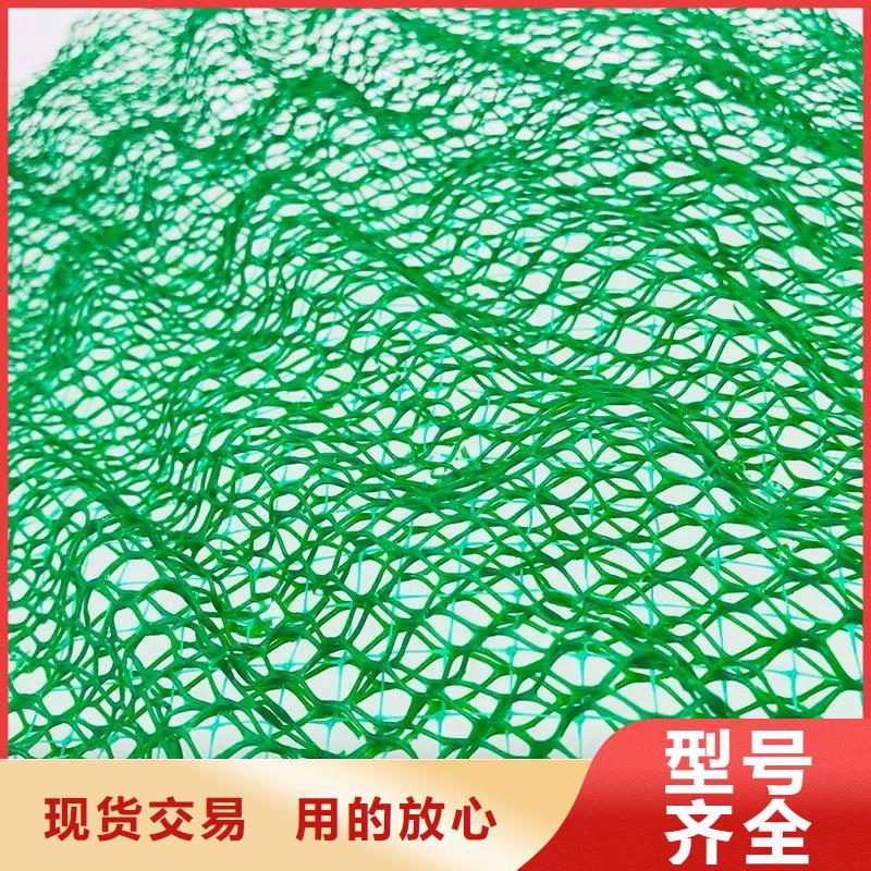 当地【金鸿耀】常年供应塑料三维土工网垫-放心