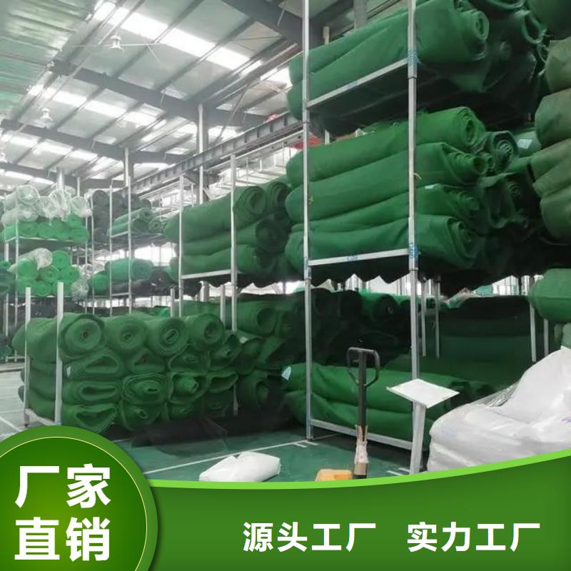 《自贡》批发金鸿耀品牌的三维土工网植草护坡生产厂家