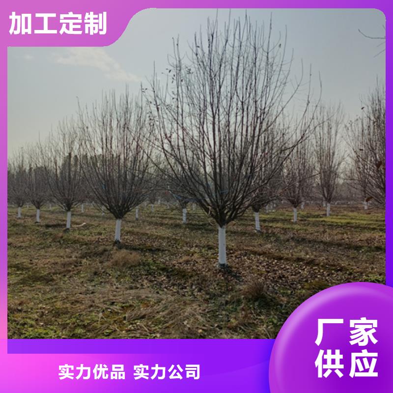 法桐截杆发帽每一处都是匠心制作