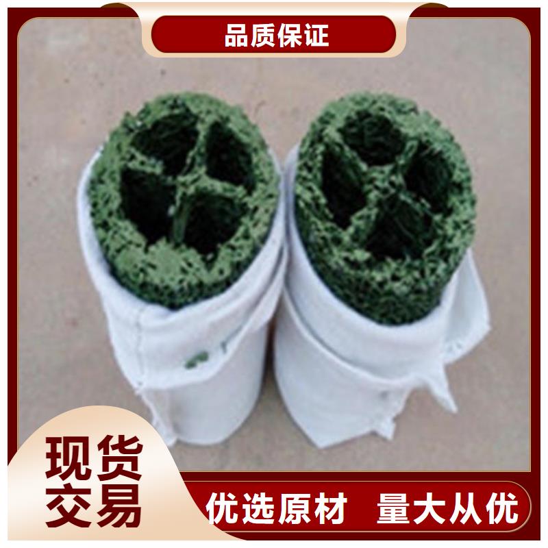 塑料盲沟三维植被网源头工厂