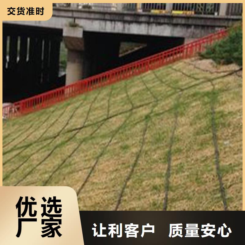 椰丝毯HDPE土工膜实力优品