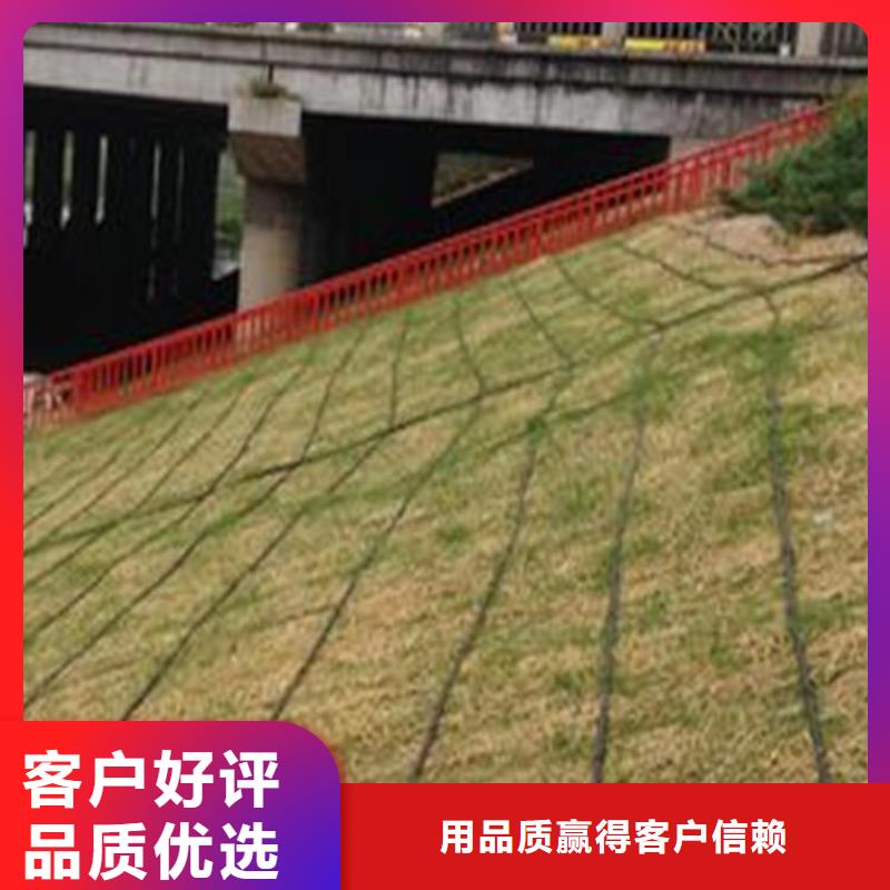 椰丝毯,网格布精工细致打造
